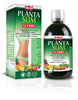 Winter Planta Slim 12erbe500ml