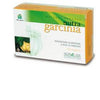 Garcinia 60 Capsule 34,2g