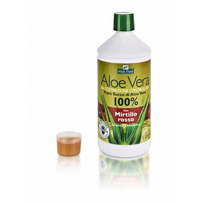 Aloe Vera Succo Mirtillo 1l