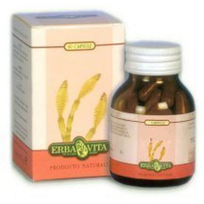 Fucus 60 Capsule 500mg