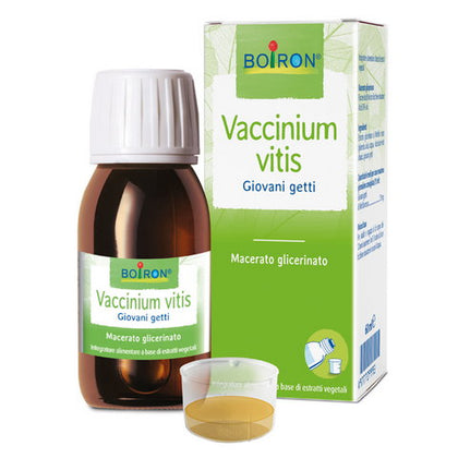 Vaccinium Vitis Bio Mg60ml Intimo