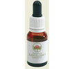 Autumn Leaves Gocce 15ml