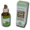 Ginko Biloba Astrum Rugia 50ml